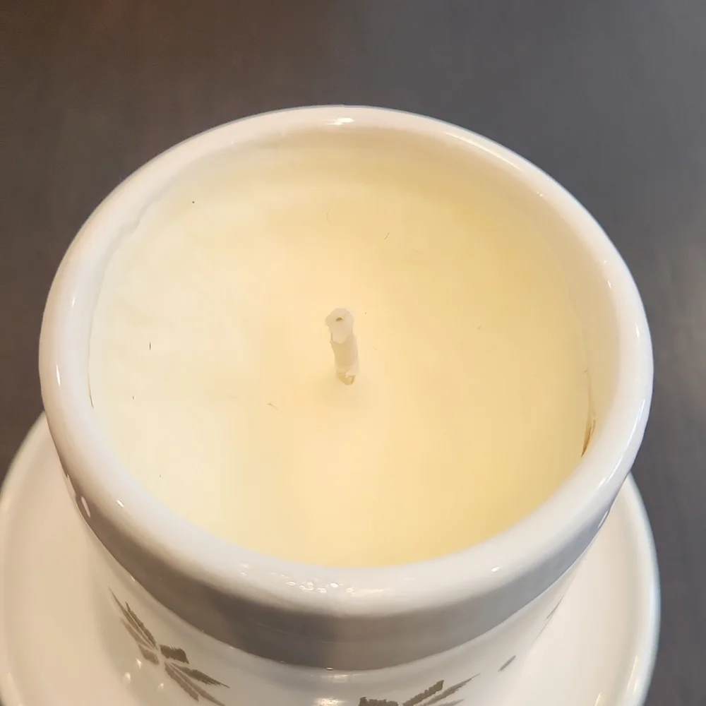 West elm, Soy candle in a glass candle dome, New